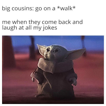 Image of When your cousins come from a walk ...