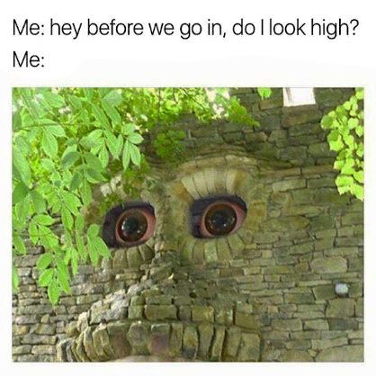 Image of Do I look high to you?